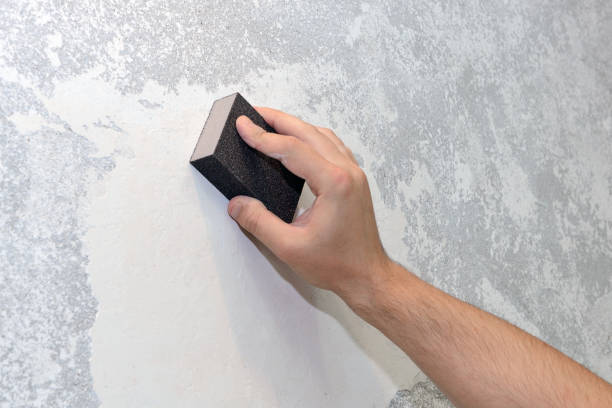 Best Basement Mold Removal  in Winters, TX