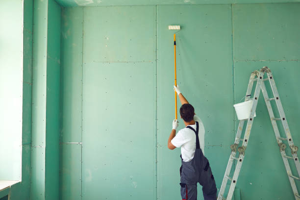 Best Attic Mold Removal  in Winters, TX