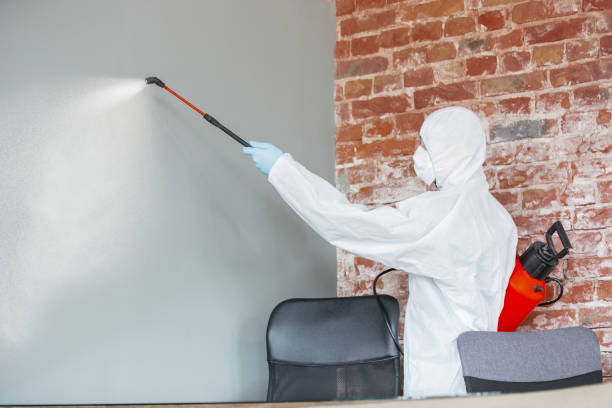 Best Mold Remediation for Healthcare Facilities  in Winters, TX