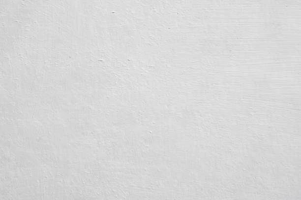 Best Black Mold Removal  in Winters, TX