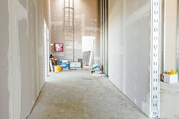 Mold Documentation for Insurance Claims in Winters, TX