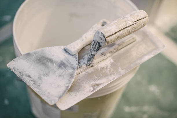 Best Mold-Related Health Consultation  in Winters, TX